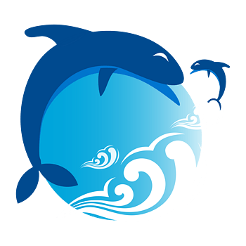 WWW,se991·COM网站APPAPP应用