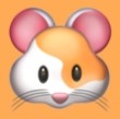 9·1安装短视频APP 9·1安装短视频APP