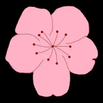 WWW,396se·COM网站APPAPP应用